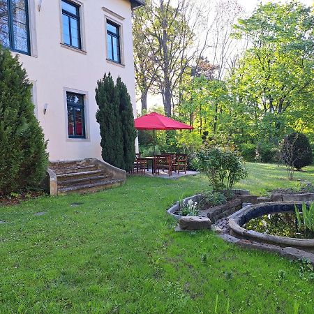 Gaestehaus Villa Seraphinum Dresden Dış mekan fotoğraf